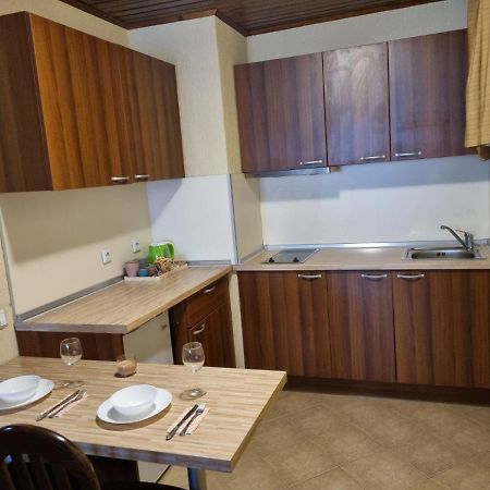 Cosy Apartments Within Walking Distance To Ski Lifts Bansko Bagian luar foto