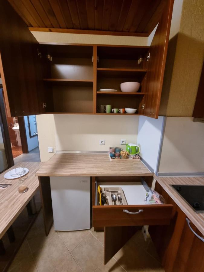 Cosy Apartments Within Walking Distance To Ski Lifts Bansko Bagian luar foto